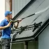 Save money and time with Professional Roof Washing